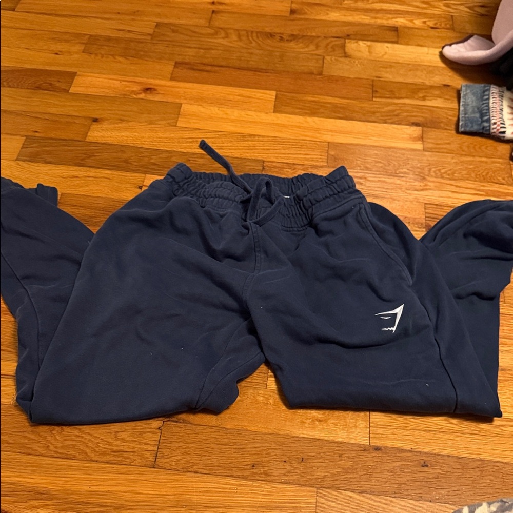 Women’s Navy Jogger Pants